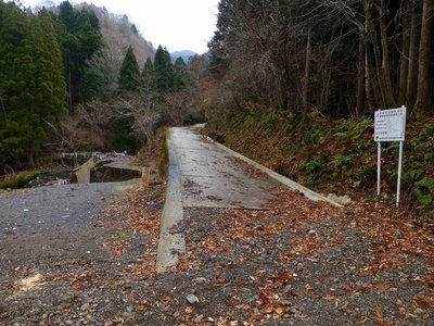 右に林道が分岐しているところです