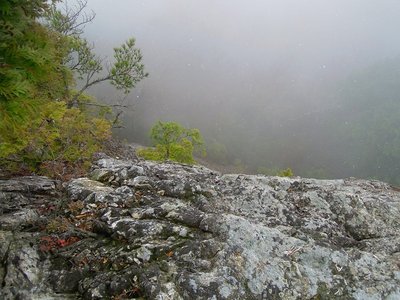 大天狗岩から下を覗いたけど…。