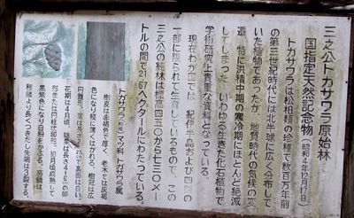 天然記念物の掲示