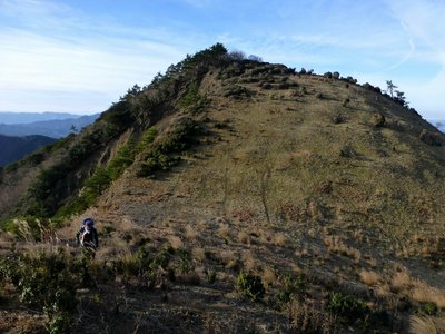 P1000984.JPG (263.61 KiB) 閲覧された回数 3728 回 鹿の楽園を歩く
