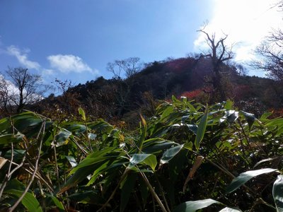 蕎麦粒山に向かってヤブを漕ぐ