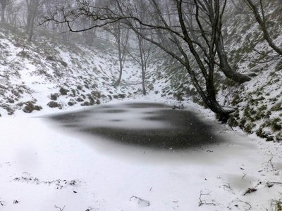 凍りついたセキオノコバの池