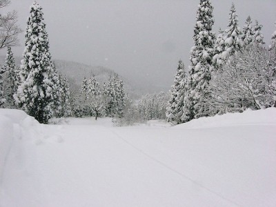 ●未整備のゲレ、規制があるコース