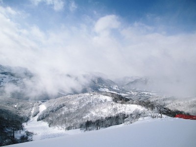 ●トップから未整備の深雪にもだね