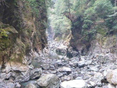 獅子ぶち方面の風景