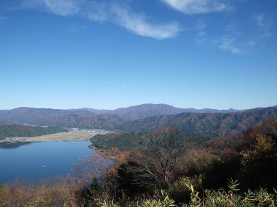 どこから蕎麦粒（右端）を撮ったかわかりますよね？