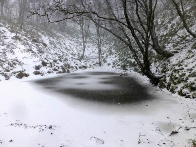 P1010305.JPG (250.06 KiB) 閲覧された回数 3755 回 セキオノコバの池-間もなく雪に埋もれる