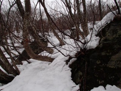 PC160873_640.jpg (68.72 KiB) 閲覧された回数 4482 回 条件が揃うとこんな、いままで考えもしなかったコース取りも可能なんだね~。快感~!