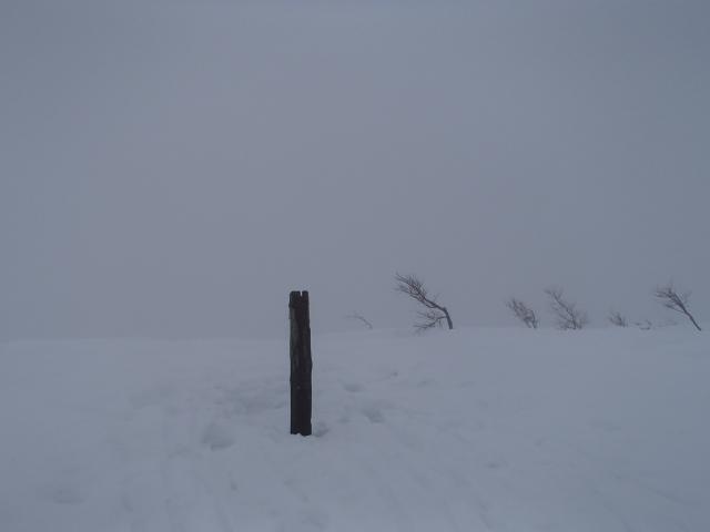 第一級の白山展望台といわれる取立山山頂もごらんの通り。