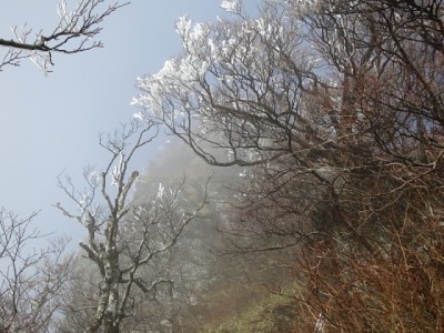 もう一つ　霧氷