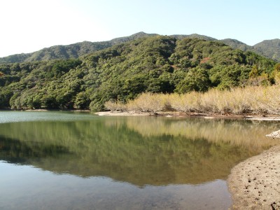 IMG_6518.jpg (303.56 KiB) 閲覧された回数 5704 回 芦浜池