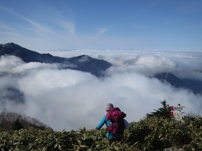 雲海が綺麗です。