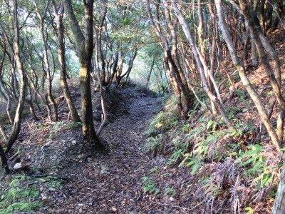 IMG_6453.jpg (562.08 KiB) 閲覧された回数 3903 回 熊野脇道