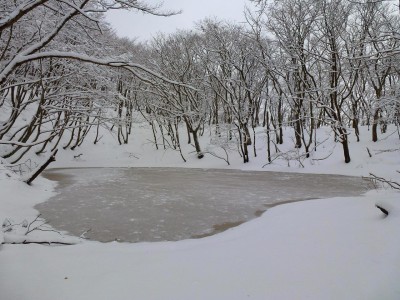 セキオノコバの池