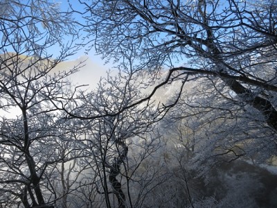 霧氷の向こうに寒風山