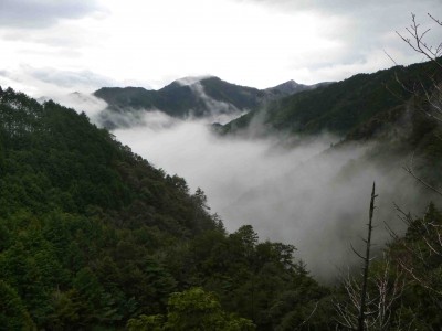 雲海（赤倉谷）