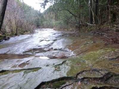 ナメ（赤倉谷）