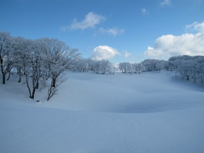 IMG_0128.jpg (150.88 KiB) 閲覧された回数 10127 回 奥の平