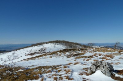 真ん中に写ってます(^^)