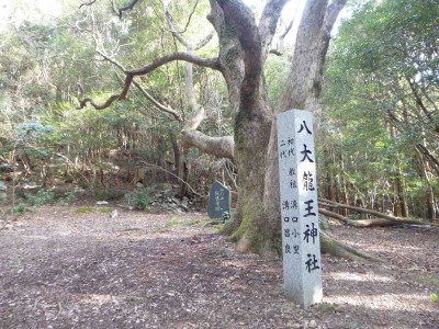 P1010639_1.jpg (343.95 KiB) 閲覧された回数 4337 回 八大龍王社