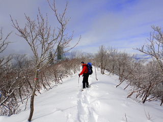 足跡の無い蛇谷ヶ峰の西尾根から下山