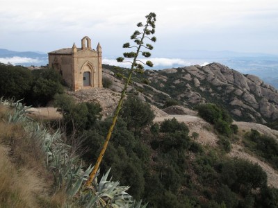 曇ってたのでピレネーは望めませんでした