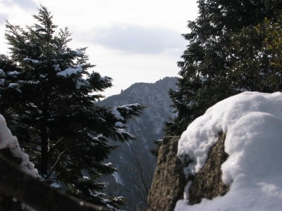 岩場から段木の尾根を望む