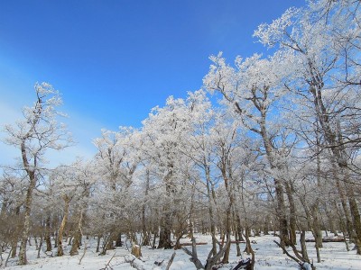 1月5日の風景です。