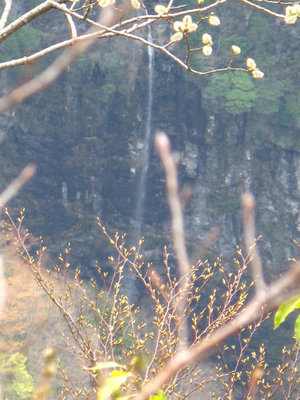 滝見台より風折滝