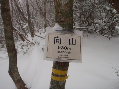 なんとか見つけた向山のプレート