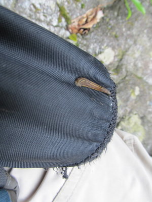 ヒルがもういました