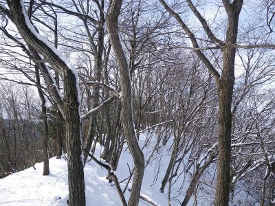 IMGP4600.JPG (167.74 KiB) 閲覧された回数 5666 回 430Pからの北西尾根