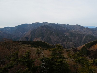 台高・嘉茂助谷ノ頭南峰から見る大台ケ原。<br />雪は少ない(1月13日)。