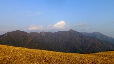 P1010852.JPG (140.43 KiB) 閲覧された回数 8830 回 お気に入りのポイントから鎌ヶ岳&御在所岳を眺望