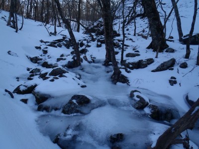 奥山谷源流左俣