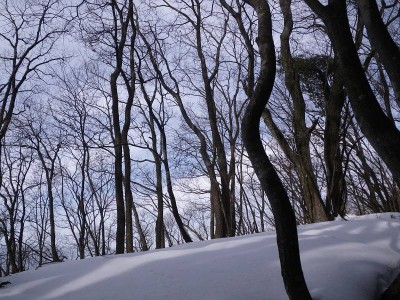 IMGP4545.JPG (143.67 KiB) 閲覧された回数 5487 回 尾根道を行く