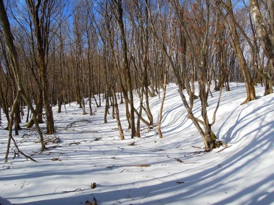 １２１４標高点辺り。