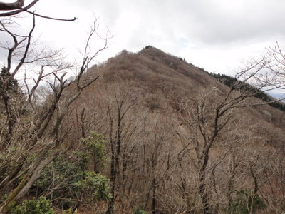 DSC01843.JPG (144.29 KiB) 閲覧された回数 9260 回 天狗堂