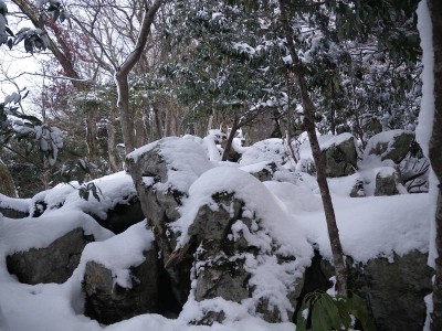 IMGP4528.JPG (114.03 KiB) 閲覧された回数 4511 回 カレンフェルトの尾根