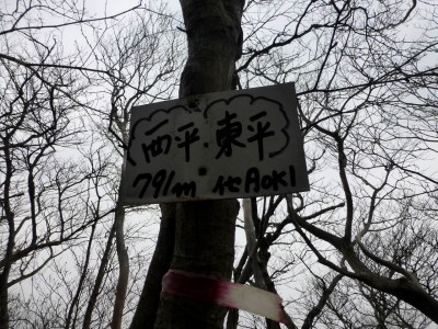 西平・東平のプレート（P791)