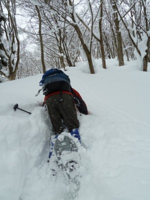 去年は激ラッセルでした