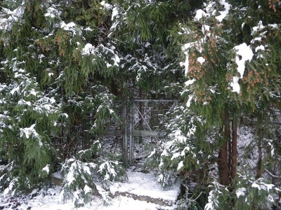 フィニッシュのフェンス