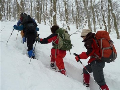 膝上ラッセル頑張るの図