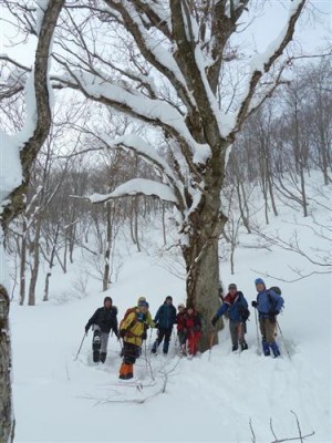 同じ集合写真でも山頂より大木の方が見たい人多いでしょ？