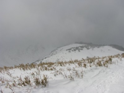 遠足尾根から山頂見えず