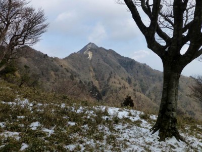 ブナの林があるあたりから鎌ヶ岳を望む