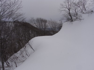 あっ、林道だっ。