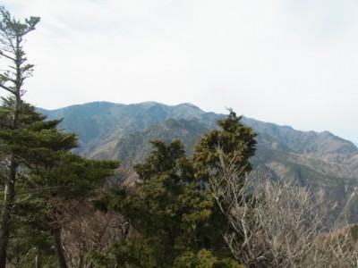 加茂助谷ノ頭南峰(与八高)の真ん前、日出ケ岳