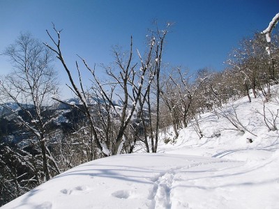 ●雪の林道歩きは初心なアノコと歩くが好いね。