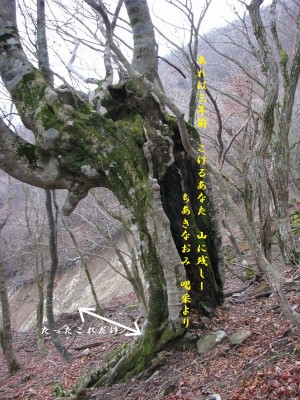 三年一カ月前の写真